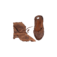 Decrepit Leather Shoes